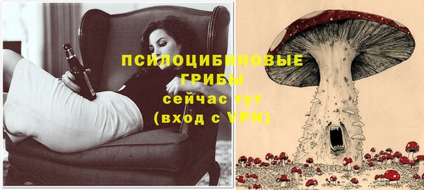 ПСИЛОЦИБИНОВЫЕ ГРИБЫ Нея