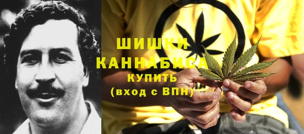 дживик Вязники