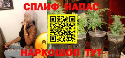 PSILOCYBIN Бугуруслан