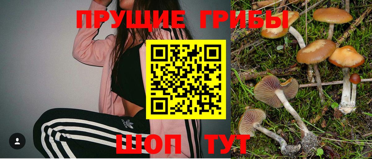 Галлюциногенные грибы мухоморы Кириши