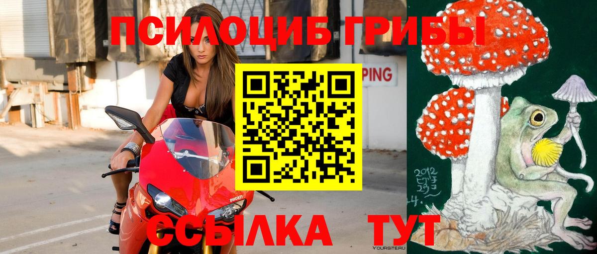 Галлюциногенные грибы прущие грибы  Кириши 