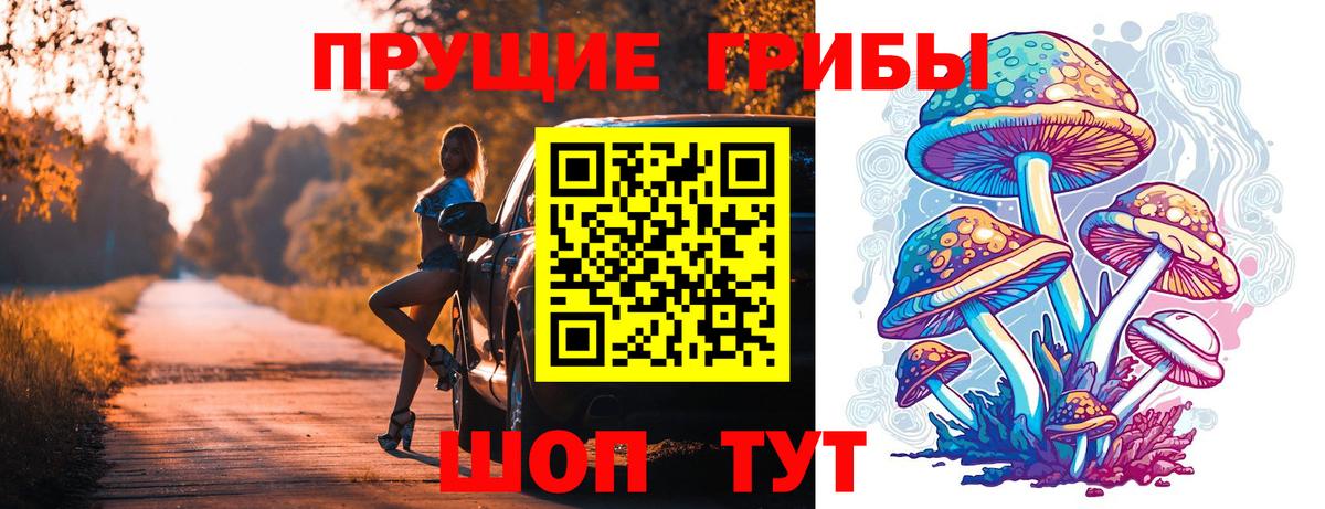 Галлюциногенные грибы Psilocybine cubensis Кириши